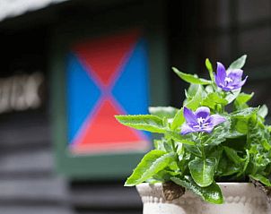 Unterkunft 322908 - Ferienhaus Veluwe - Vakantiehuis in Vierhouten