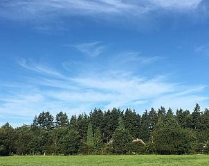 Unterkunft 322908 - Ferienhaus Veluwe - Vakantiehuis in Vierhouten