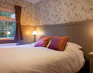 Unterkunft 322909 - Ferienhaus Veluwe - Vakantiehuis in Vierhouten