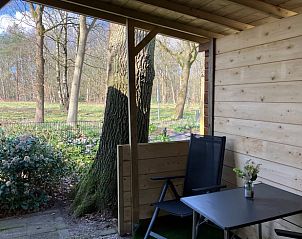 Unterkunft 322911 - Ferienhaus Veluwe - Vakantiehuis in Vierhouten