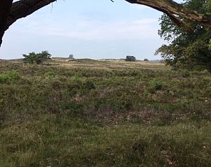 Unterkunft 322911 - Ferienhaus Veluwe - Vakantiehuis in Vierhouten