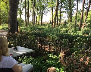 Unterkunft 322911 - Ferienhaus Veluwe - Vakantiehuis in Vierhouten