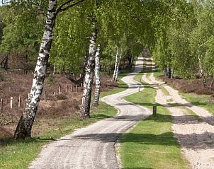 Unterkunft 322911 - Ferienhaus Veluwe - Vakantiehuis in Vierhouten