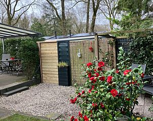 Unterkunft 322912 - Ferienhaus Veluwe - Vakantiehuis in Vierhouten