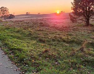 Unterkunft 322912 - Ferienhaus Veluwe - Vakantiehuis in Vierhouten