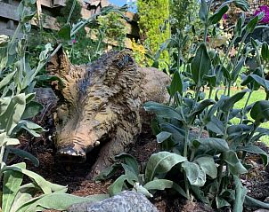 Unterkunft 322913 - Ferienhaus Veluwe - Vakantiehuis in Vierhouten