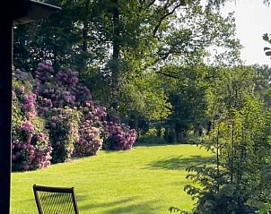 Unterkunft 322914 - Ferienhaus Veluwe - Vakantiehuisje in Vierhouten