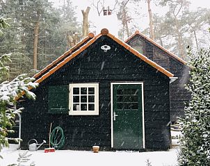 Unterkunft 322914 - Ferienhaus Veluwe - Vakantiehuisje in Vierhouten