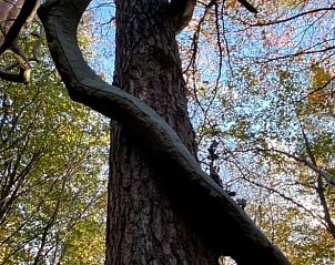 Unterkunft 322914 - Ferienhaus Veluwe - Vakantiehuisje in Vierhouten
