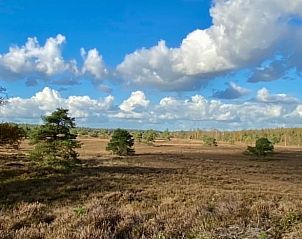 Unterkunft 322914 - Ferienhaus Veluwe - Vakantiehuisje in Vierhouten