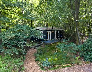 Unterkunft 322915 - Ferienhaus Veluwe - Huisje in Vierhouten