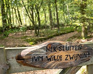 Unterkunft 322915 - Ferienhaus Veluwe - Huisje in Vierhouten