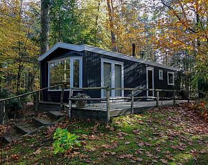 Unterkunft 322915 - Ferienhaus Veluwe - Huisje in Vierhouten