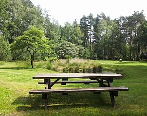 Unterkunft 322915 - Ferienhaus Veluwe - Huisje in Vierhouten