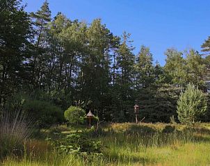 Unterkunft 322915 - Ferienhaus Veluwe - Huisje in Vierhouten