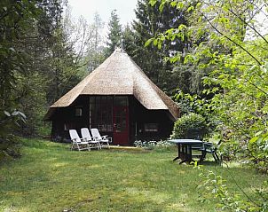 Verblijf 322918 • Vakantiewoning Veluwe • Vakantiehuis in Vierhouten 
