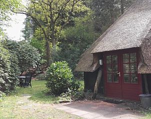 Unterkunft 322918 - Ferienhaus Veluwe - Vakantiehuis in Vierhouten