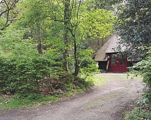 Unterkunft 322918 - Ferienhaus Veluwe - Vakantiehuis in Vierhouten