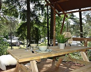 Unterkunft 322919 - Zelthaus Veluwe - Veluwe Lodge