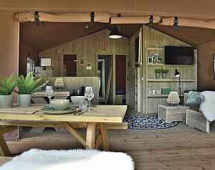 Unterkunft 322919 - Zelthaus Veluwe - Veluwe Lodge