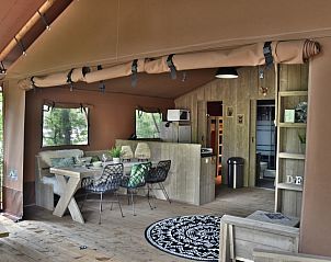 Unterkunft 322919 - Zelthaus Veluwe - Veluwe Lodge