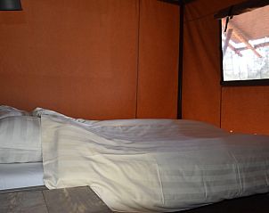 Unterkunft 322919 - Zelthaus Veluwe - Veluwe Lodge