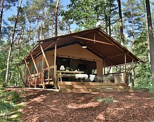 Unterkunft 322919 - Zelthaus Veluwe - Veluwe Lodge