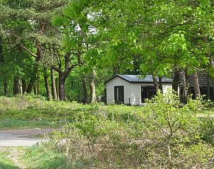 Unterkunft 322920 - Ferienhaus Veluwe - Vakantiehuisje in Vierhouten