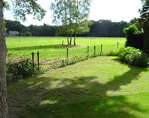 Unterkunft 322920 - Ferienhaus Veluwe - Vakantiehuisje in Vierhouten
