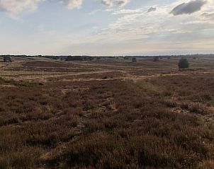 Unterkunft 322920 - Ferienhaus Veluwe - Vakantiehuisje in Vierhouten