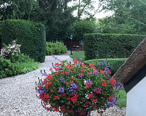 Unterkunft 322921 - Ferienhaus Veluwe - Vakantiehuis in Vierhouten