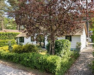 Gezellig chalet Farmhouse in Veluwe, Vierhouten met weelderige tuin en natuurlijke omgeving in Gelderland.