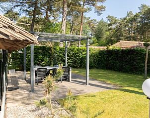 Zonnige tuin bij Farmhouse vakantiehuis in Veluwe, Vierhouten met uitnodigend terras en serene bosomgeving in Gelderland.