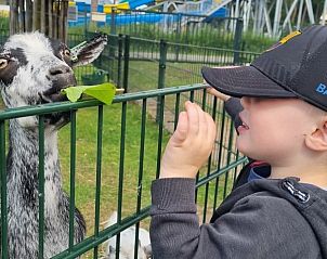 Verblijf 322922 - Chalet Veluwe - Farmhouse