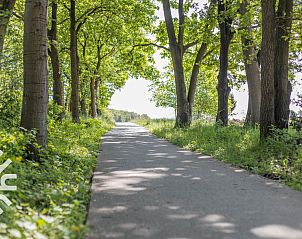 Unterkunft 322925 - Ferienhaus Veluwe - DG272