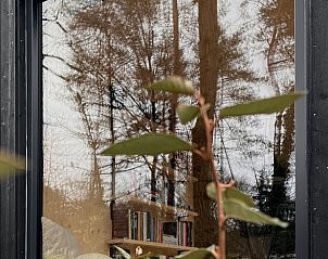 Guest house 3230108 - Holiday property Veluwe - Vakantiehuis in Nunspeet