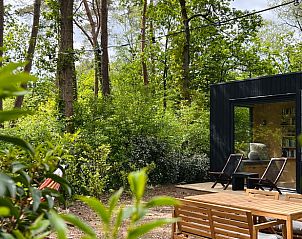 Guest house 3230108 - Holiday property Veluwe - Vakantiehuis in Nunspeet