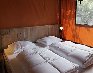 Verblijf 3230113 - Tenthuis Veluwe - Glampingtent Desert