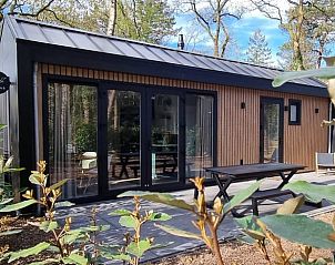 Unterkunft 3230118 - Ferienhaus Veluwe - Vakantiehuisje in Nunspeet