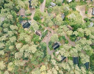 Unterkunft 3230118 - Ferienhaus Veluwe - Vakantiehuisje in Nunspeet