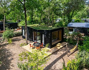 TED Tiny House in Nunspeet, Veluwe biedt een unieke vakantie-ervaring te midden van de natuur, met een groene omgeving en een gezellig terras.