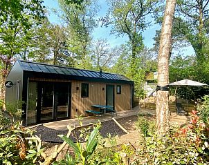 Vacation home in Nunspeet, Veluwe, Gelderland, surrounded by green nature. Enjoy the tranquility and terrace in this beautiful vacation home.