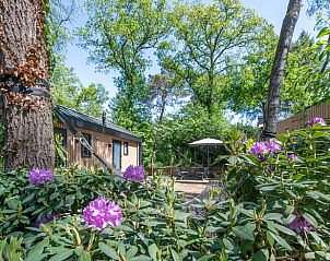 Vacation home in Nunspeet with terrace and colorful flowers, surrounded by the nature of the Veluwe in Gelderland.