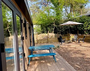 Guest house 3230124 - Holiday property Veluwe - Vakantiehuis in Nunspeet