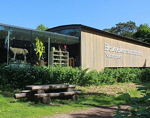 Guest house 3230124 - Holiday property Veluwe - Vakantiehuis in Nunspeet