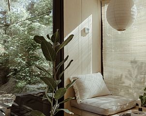 Sunny reading corner in cottage in Nunspeet, surrounded by green nature.