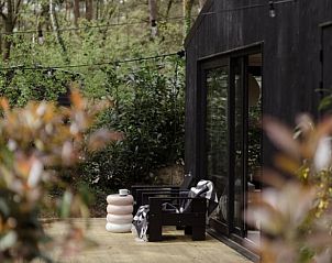 Cozy terrace at cottage in Nunspeet, surrounded by Veluwe flora.