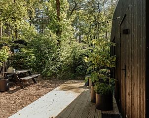 Outdoor area of cottage in Nunspeet with picnic table and nature.