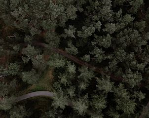 Aerial view of Veluwe forests surrounding cottage in Nunspeet, Gelderland.