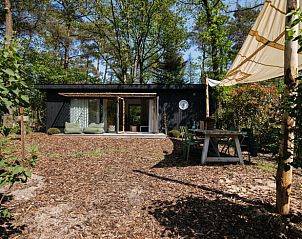 Cottage in Nunspeet, Veluwe with terrace and garden in Gelderland.